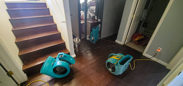 Best Water damage cleanup near me  in Watervliet, NY