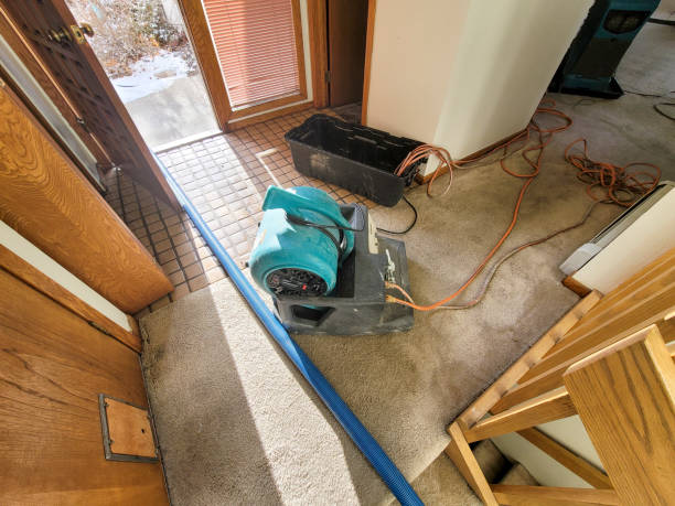 Best Emergency water damage restoration  in Watervliet, NY