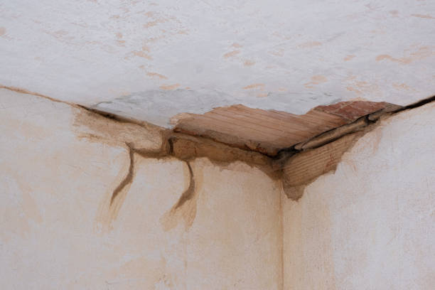 Best 24-hour water damage restoration  in Watervliet, NY