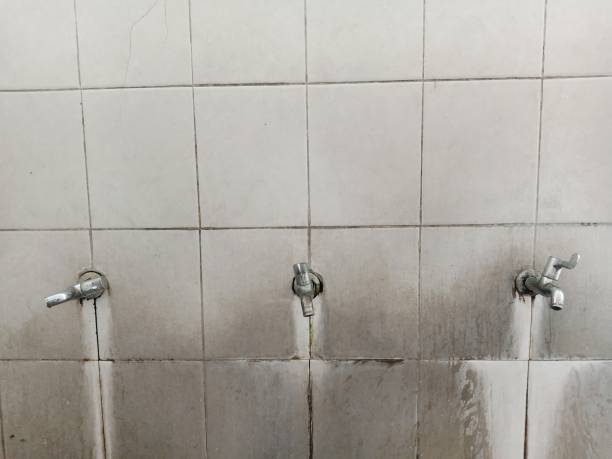 Best Local water damage restoration  in Watervliet, NY