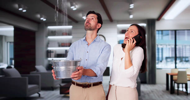 Best Ceiling water damage repair  in Watervliet, NY